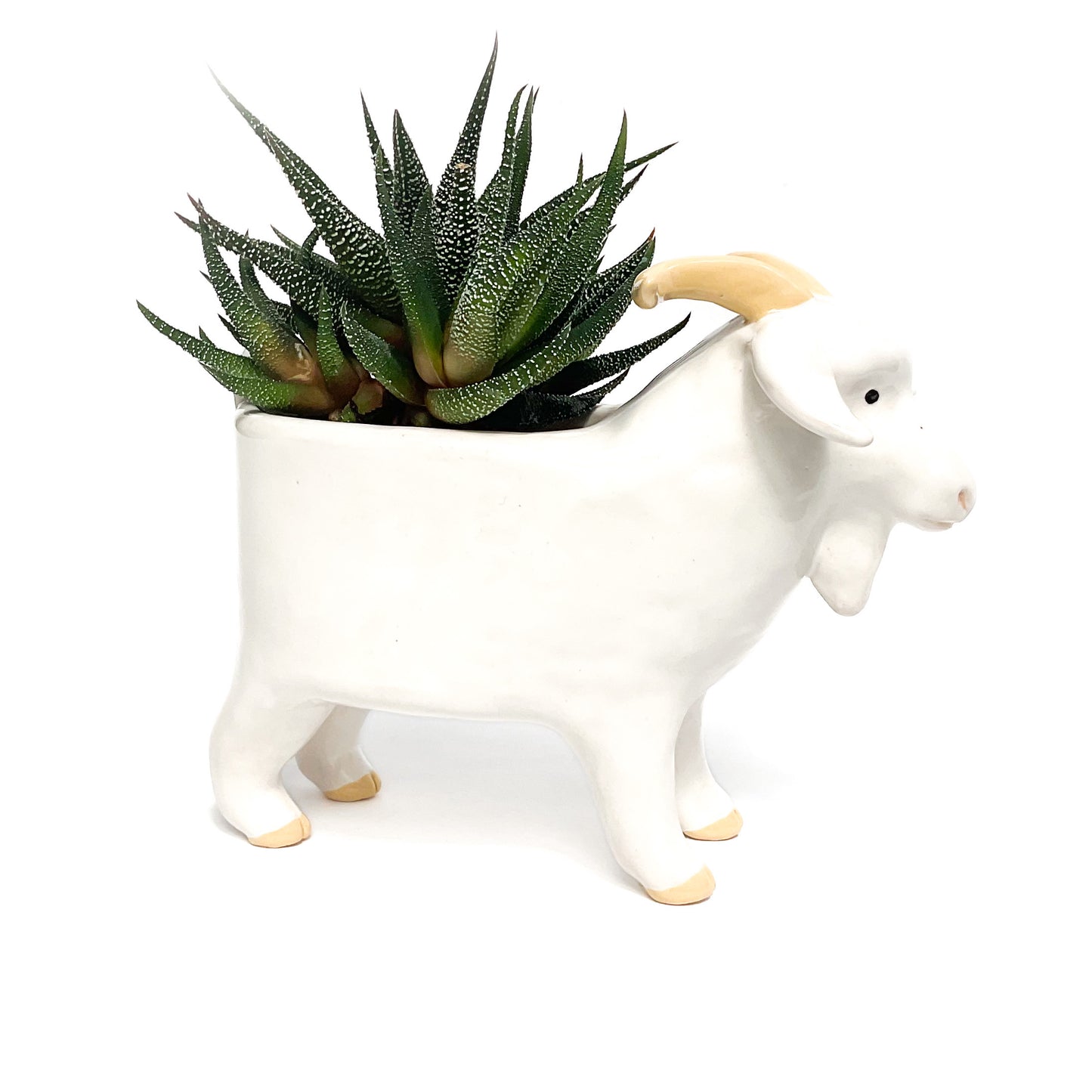 Angora Goat Pot - Ceramic Goat Planter