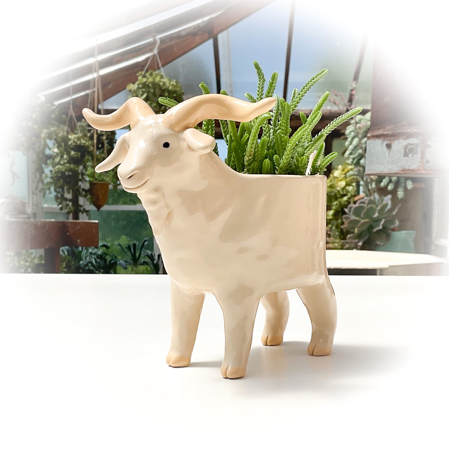 Angora Goat Pot - Ceramic Goat Planter