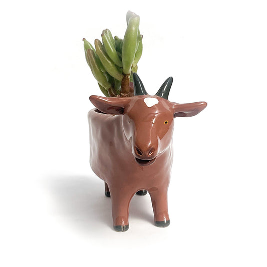 Brown Pygmy Goat Pot