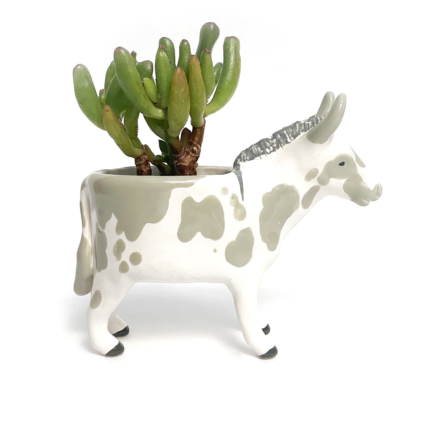 Spotted Miniature Mediterranean Donkey Planter