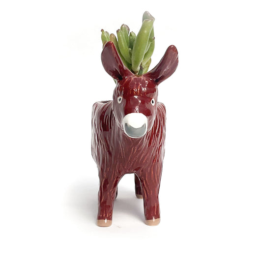 Baudet du Poitou Donkey Planter