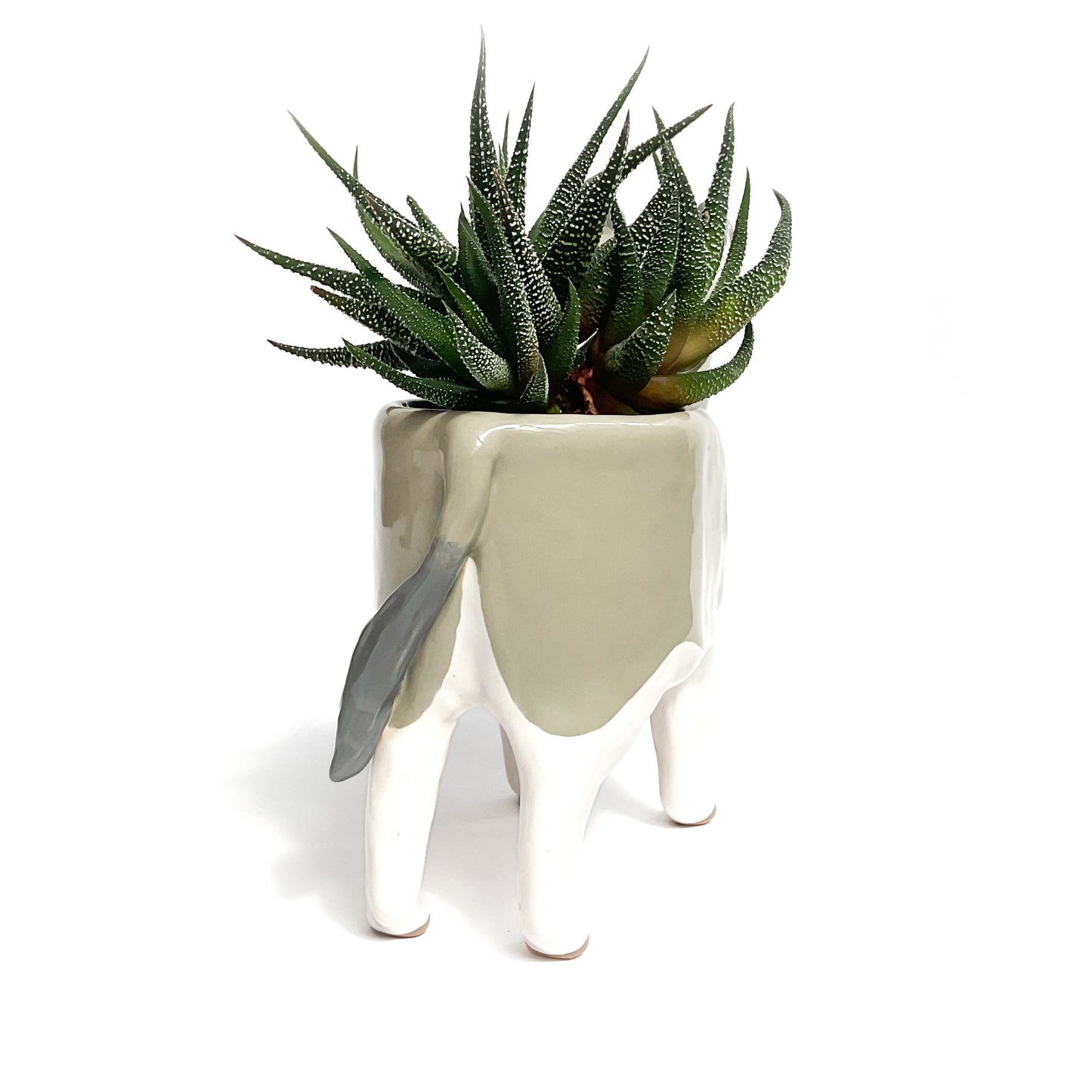 Miniature Mediterranean Donkey Pot