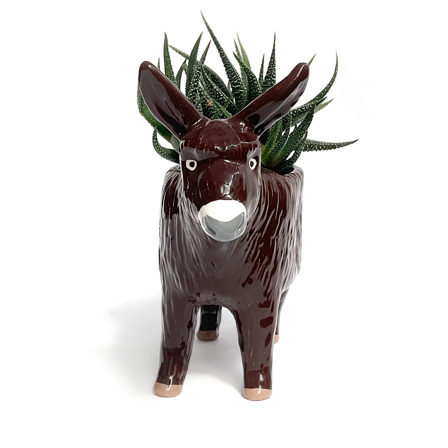 Baudet du Poitou Donkey Pot