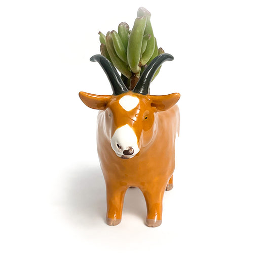 Spotted Brown Pygmy Goat Pot