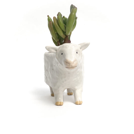 Romney Sheep Pot - Ceramic Sheep Planter