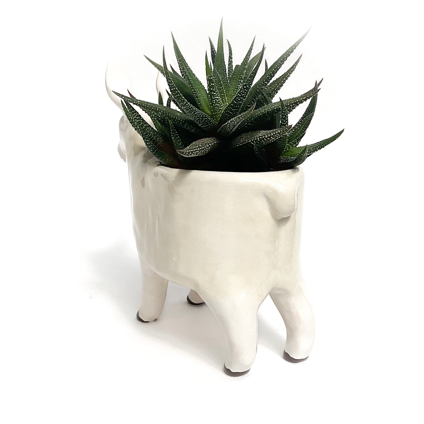 Border Leicester Sheep Pot - Ceramic Sheep Planter