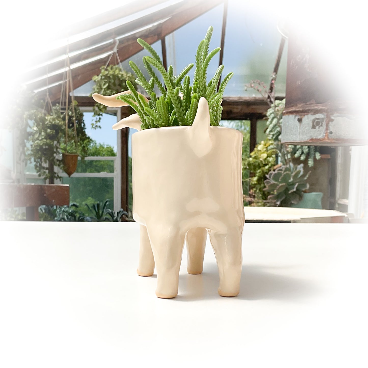 Angora Goat Pot - Ceramic Goat Planter