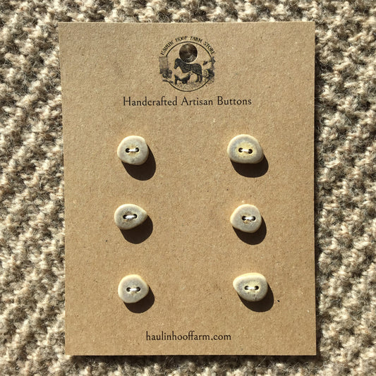 Polished Deer Antler Shed Buttons  1/2"  6-Pack