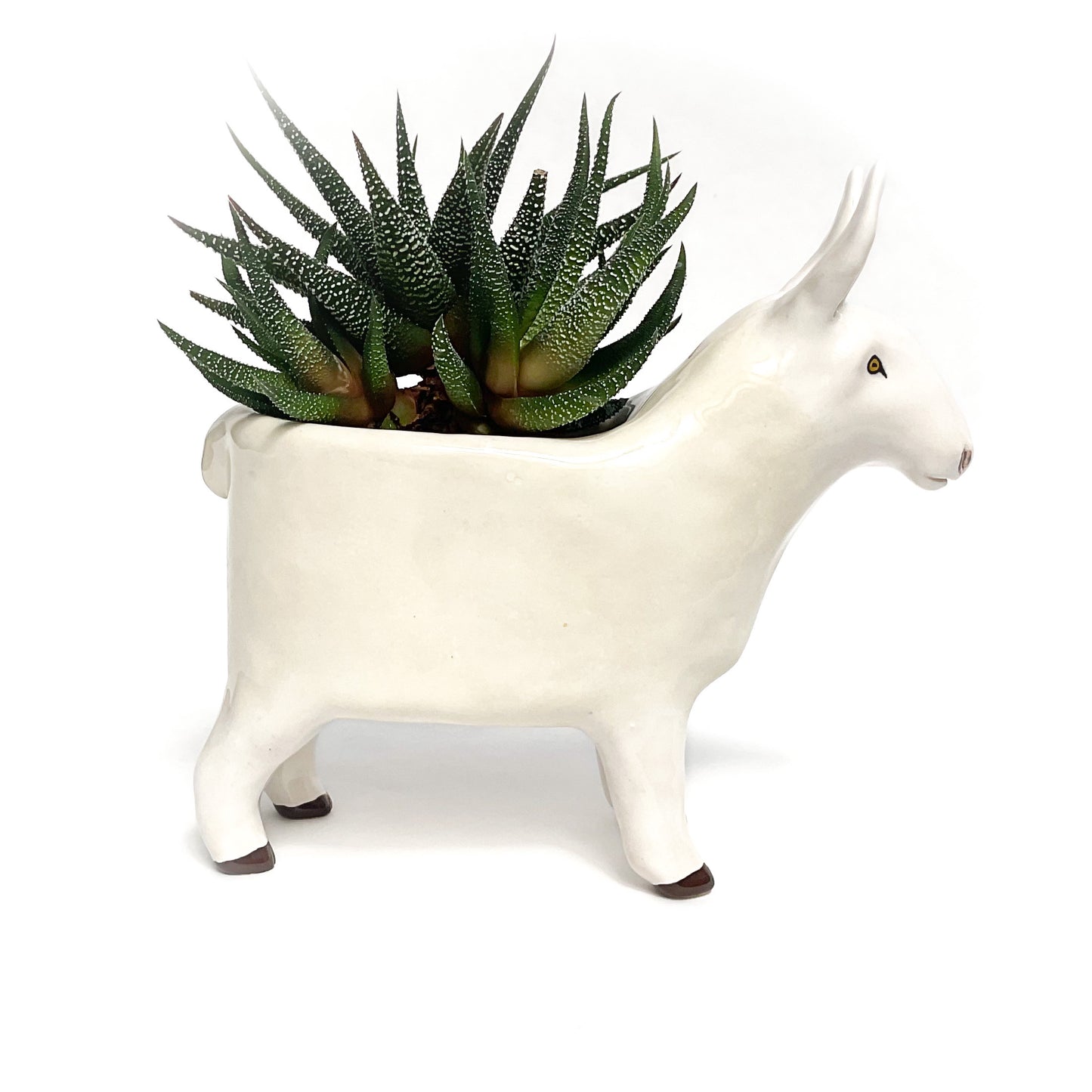 Border Leicester Sheep Pot - Ceramic Sheep Planter