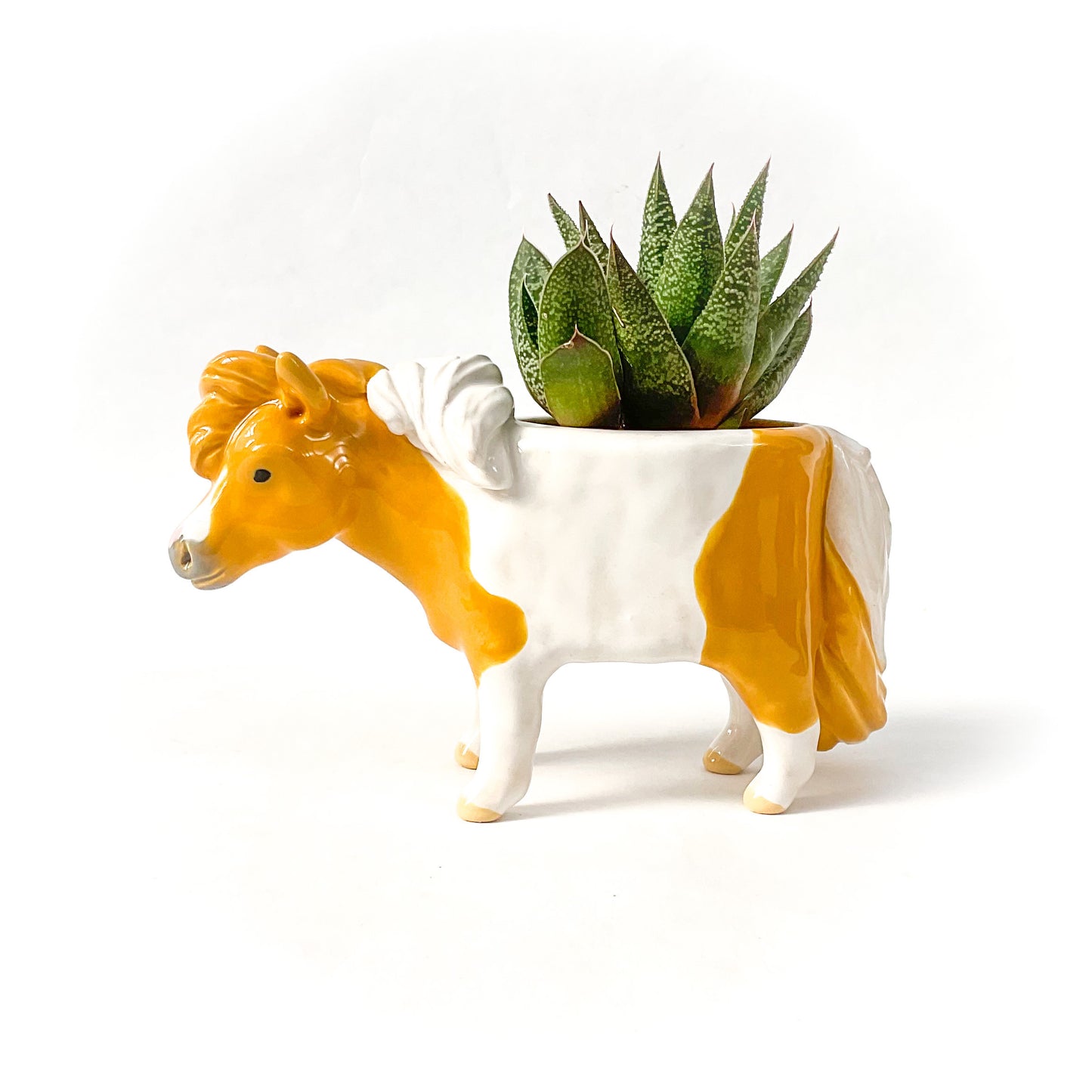 Shetland Pony Pot