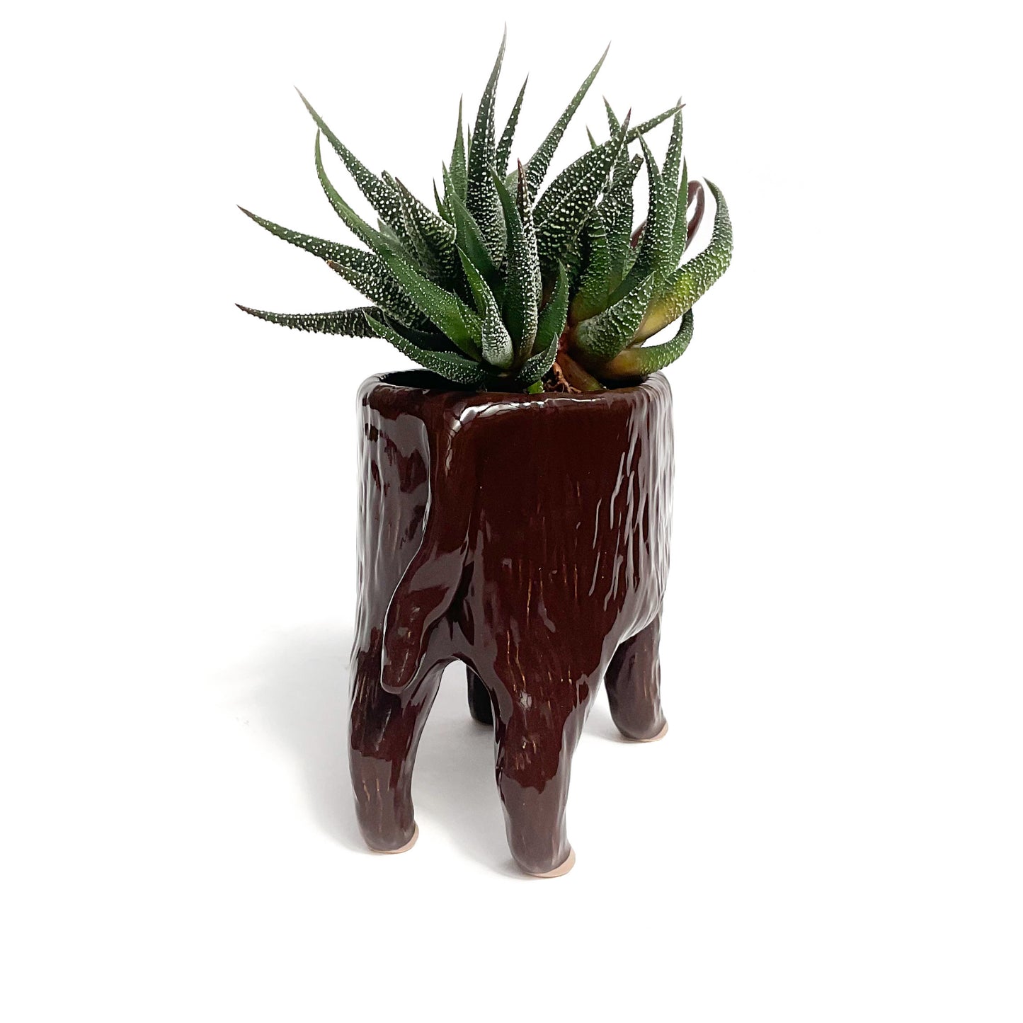 Baudet du Poitou Donkey Pot