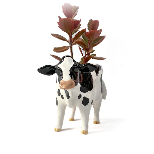 Holstein Friesian Cow Pot