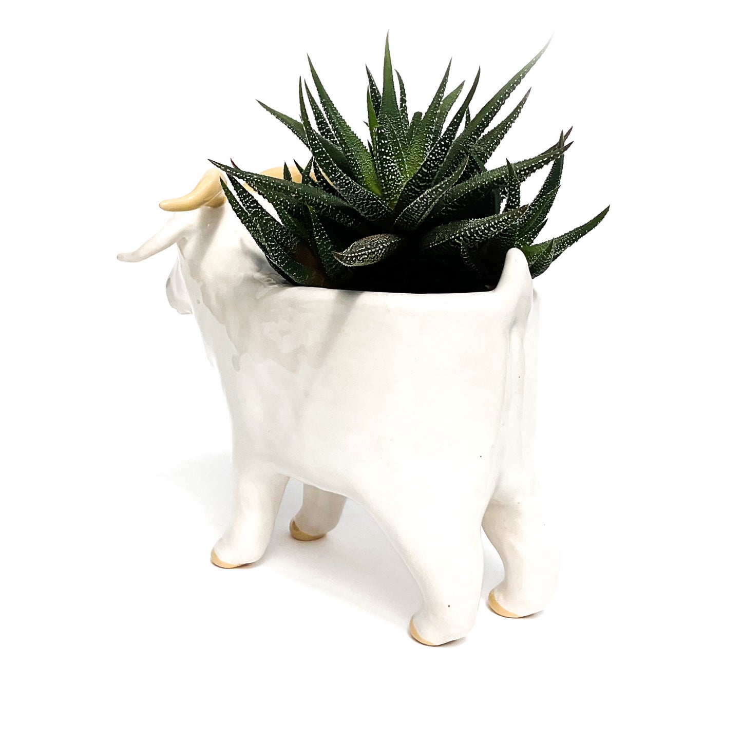 Angora Goat Pot - Ceramic Goat Planter