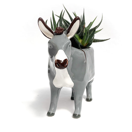 Miniature Mediterranean Donkey Pot