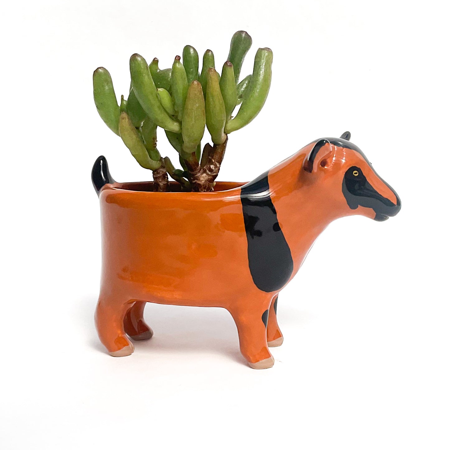 Carmel & Black Pygmy Goat Pot