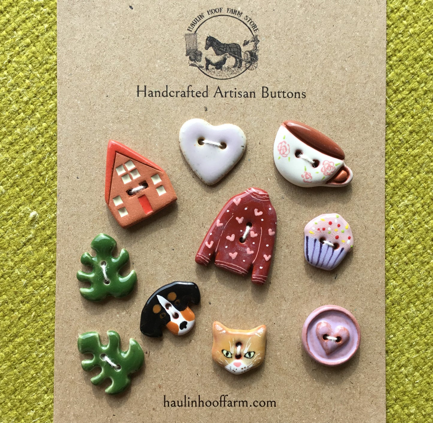 'Cozy at Home' Variety Packs