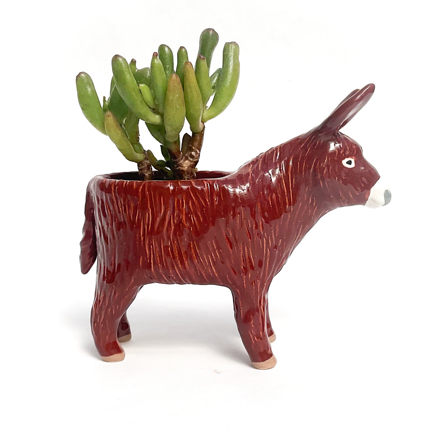 Baudet du Poitou Donkey Planter