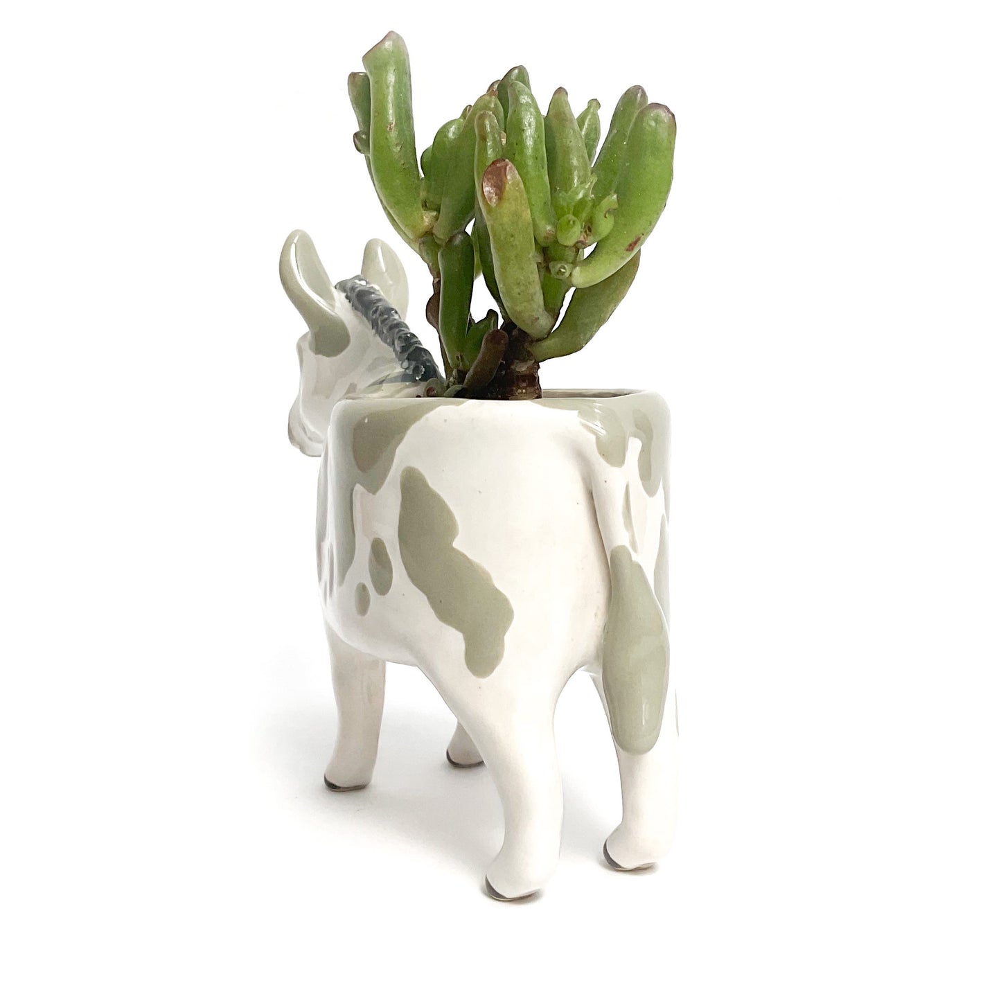 Spotted Miniature Mediterranean Donkey Planter