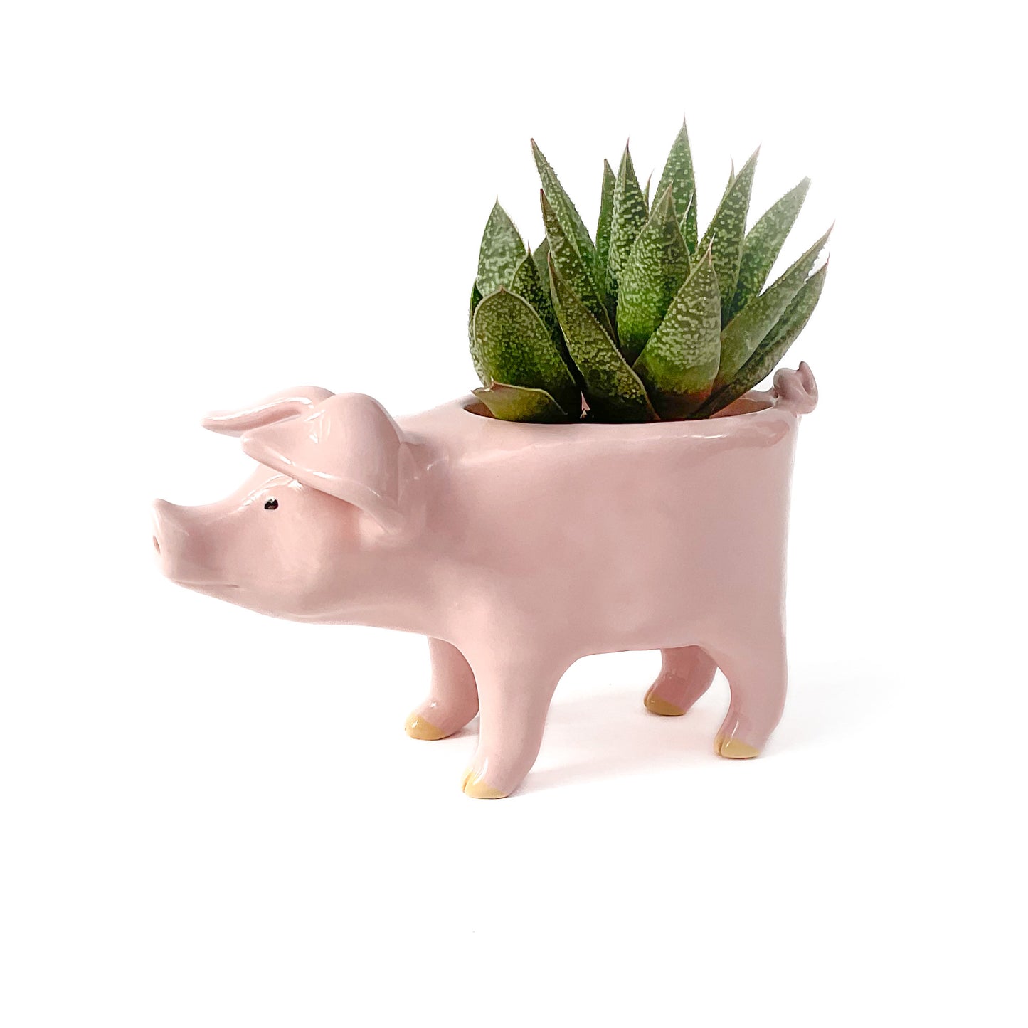 Pink Yorkshire Pig Pot