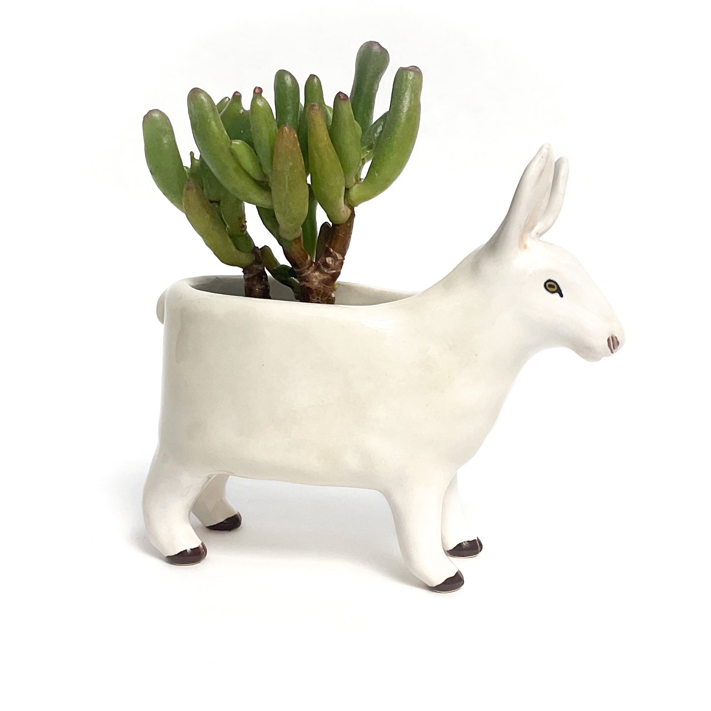 Border Leicester Sheep Pot - Ceramic Sheep Planter