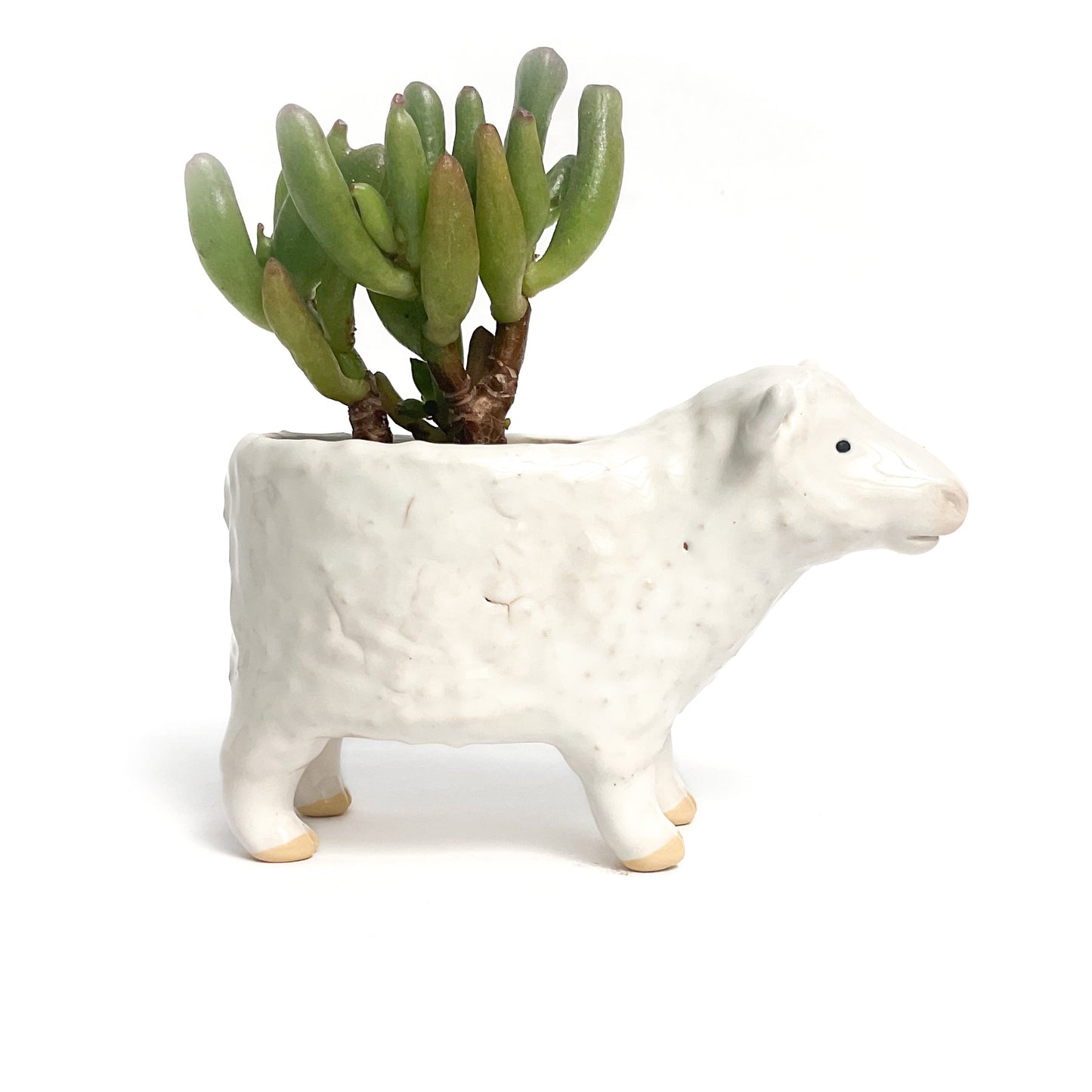 Romney Sheep Pot - Ceramic Sheep Planter