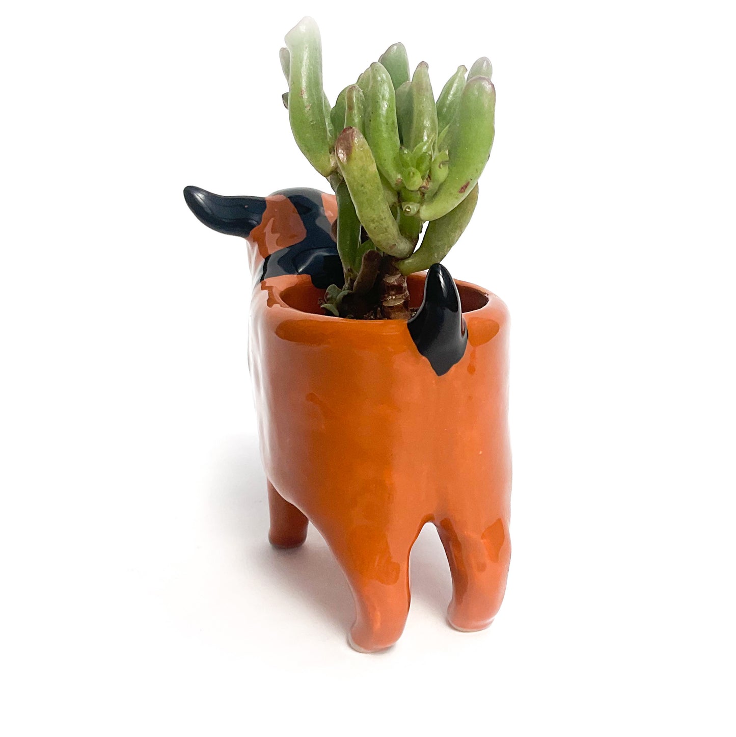 Carmel & Black Pygmy Goat Pot