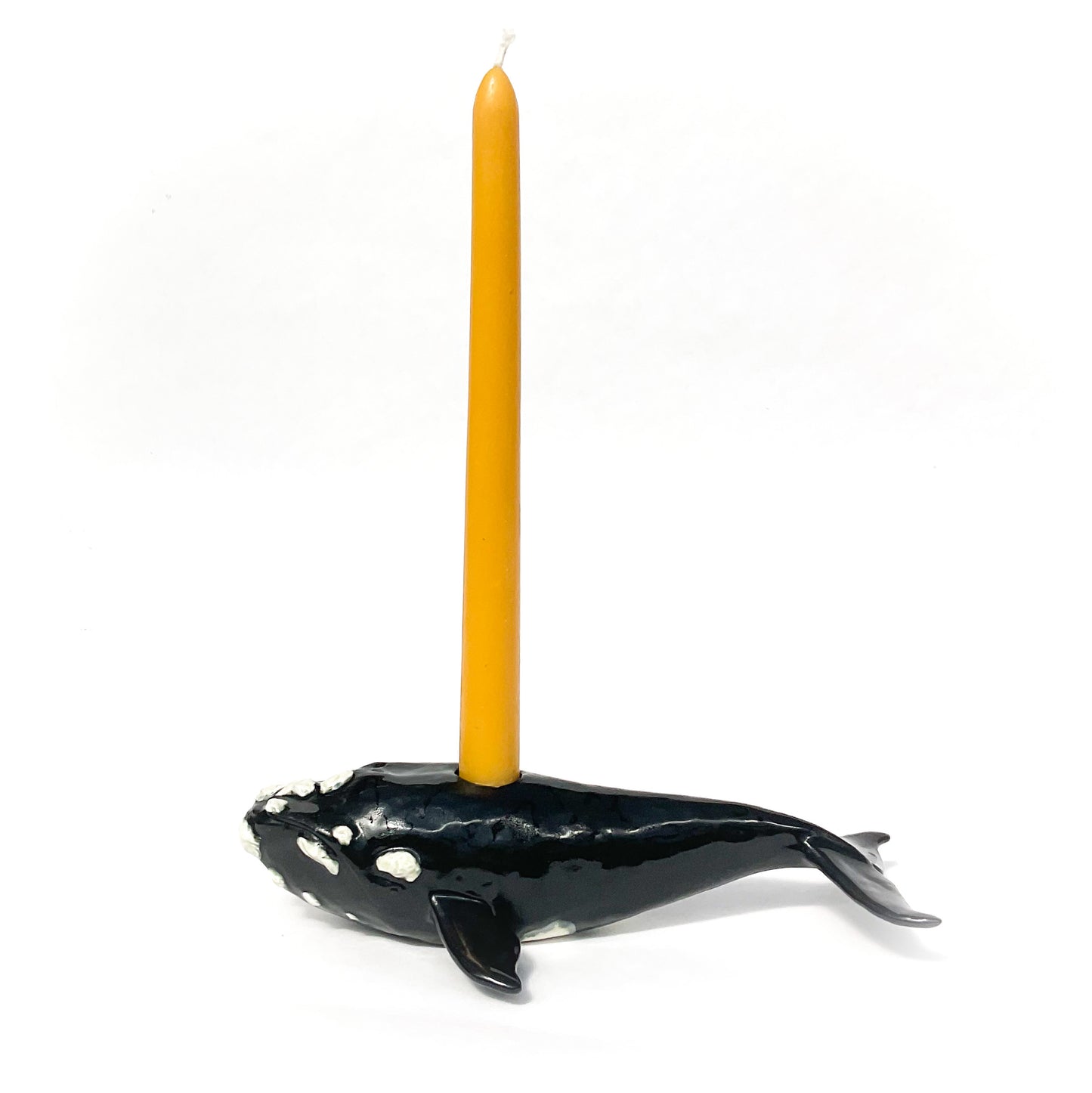 North Atlantic Right Whale Ceramic Candlestick Holder