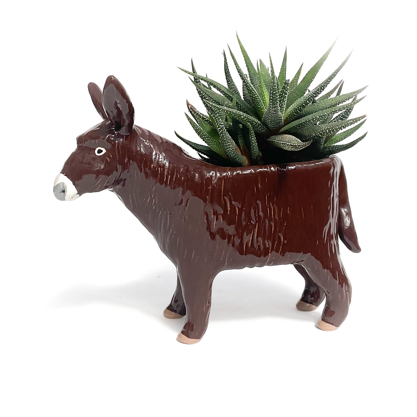 Baudet du Poitou Donkey Pot