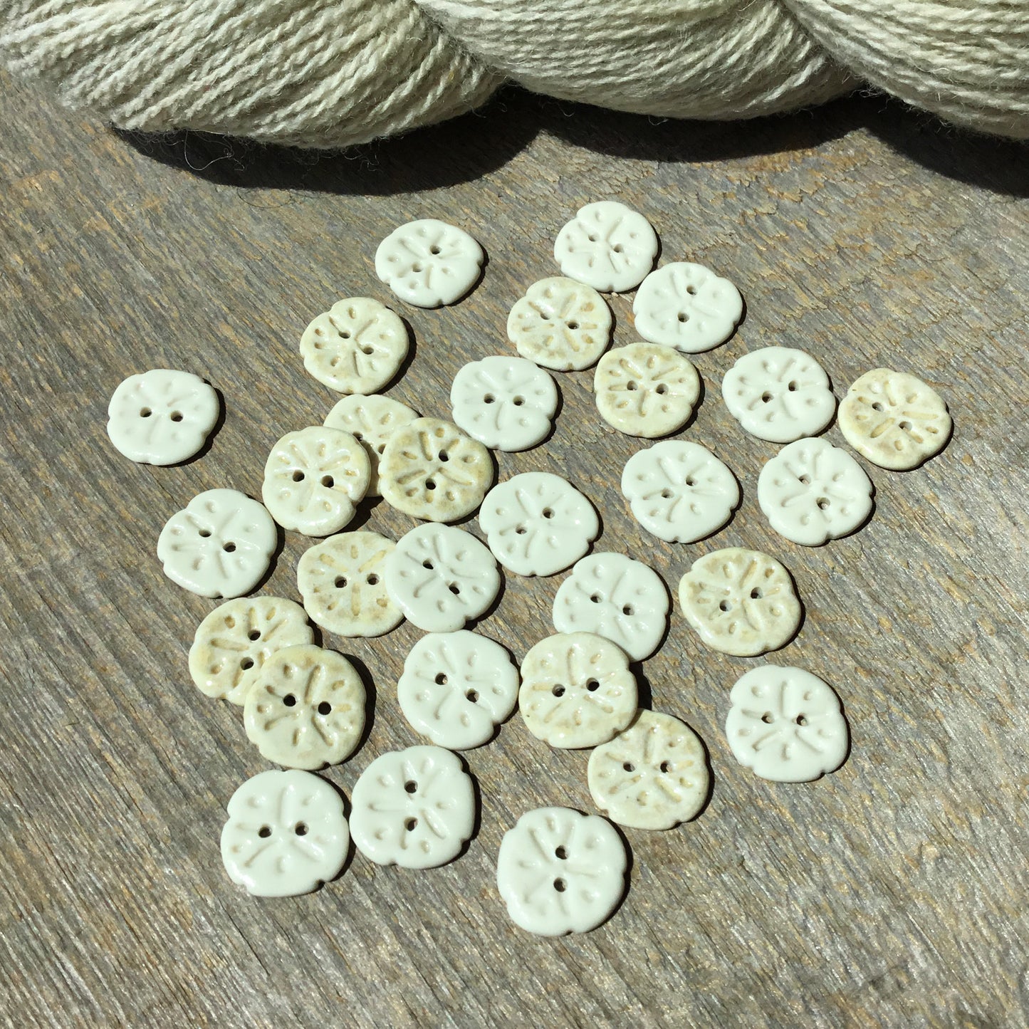Sand Dollar Porcelain Button  11/16”