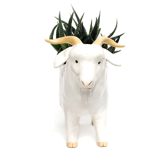 Angora Goat Pot - Ceramic Goat Planter