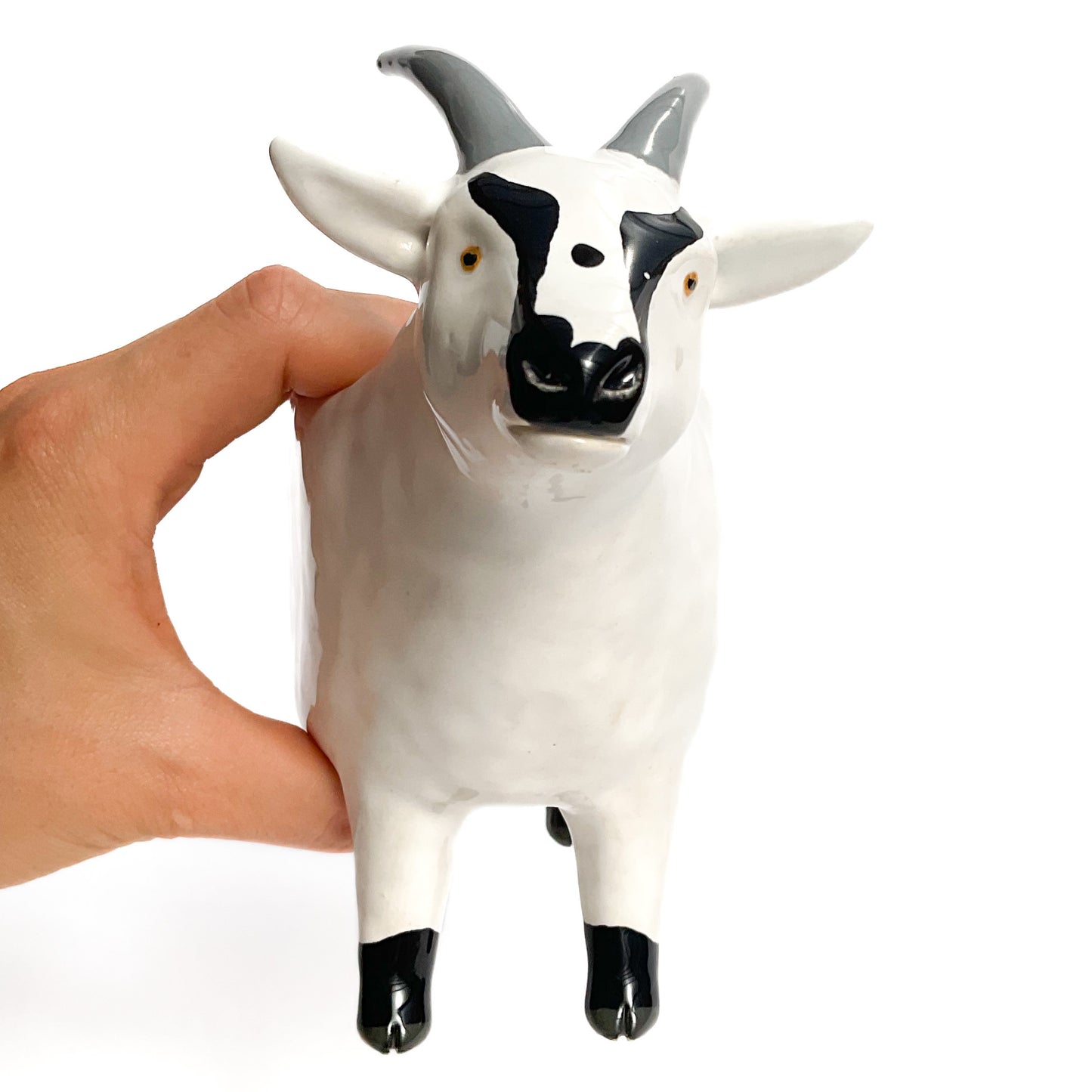 White & Black Pygmy Goat Pot