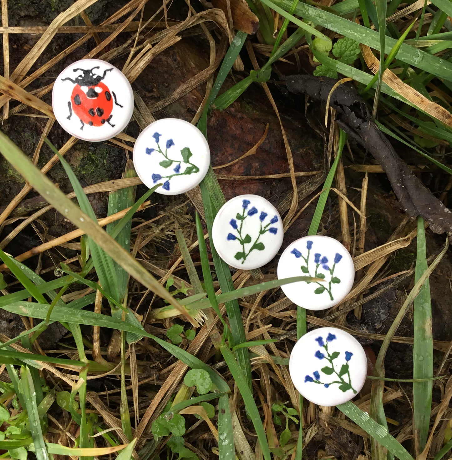 ‘Ladybug in the Bluebells’ Designer Shank Button Set - 3/4”  5-pack