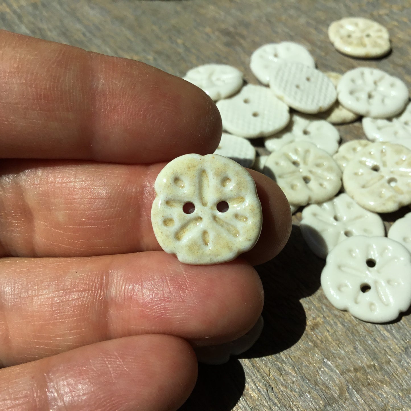 Sand Dollar Porcelain Button  11/16”
