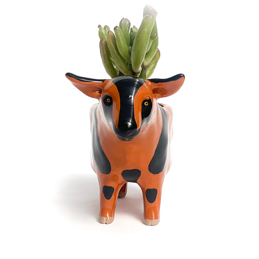 Carmel & Black Pygmy Goat Pot