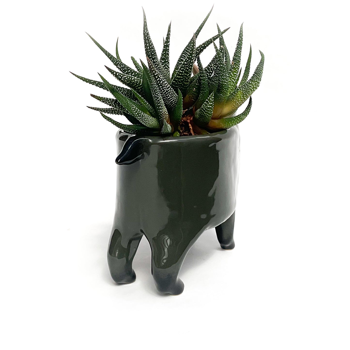 Dark Grey Pygmy Goat Pot