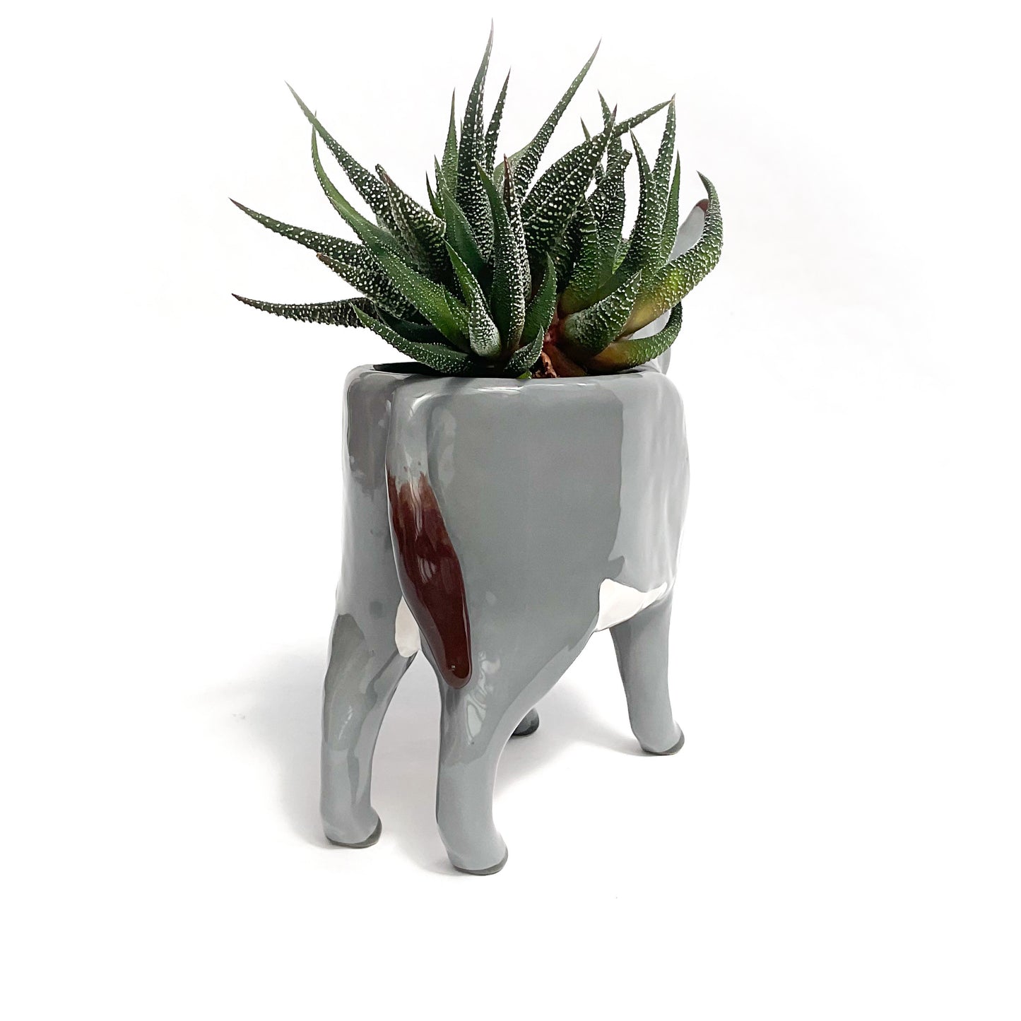 Miniature Mediterranean Donkey Pot