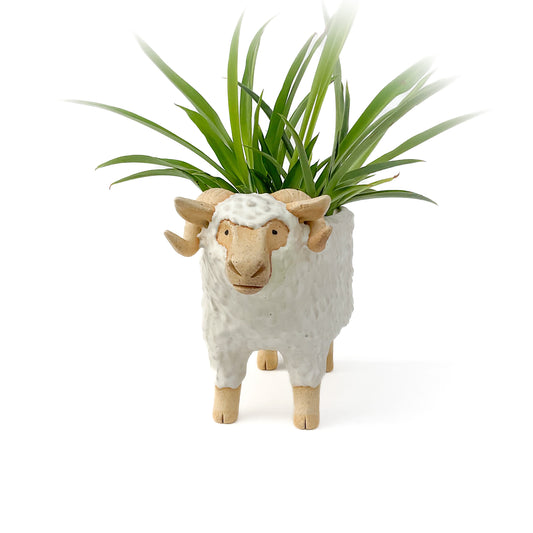 Stoneware Ram Pot - Ceramic Sheep Planter