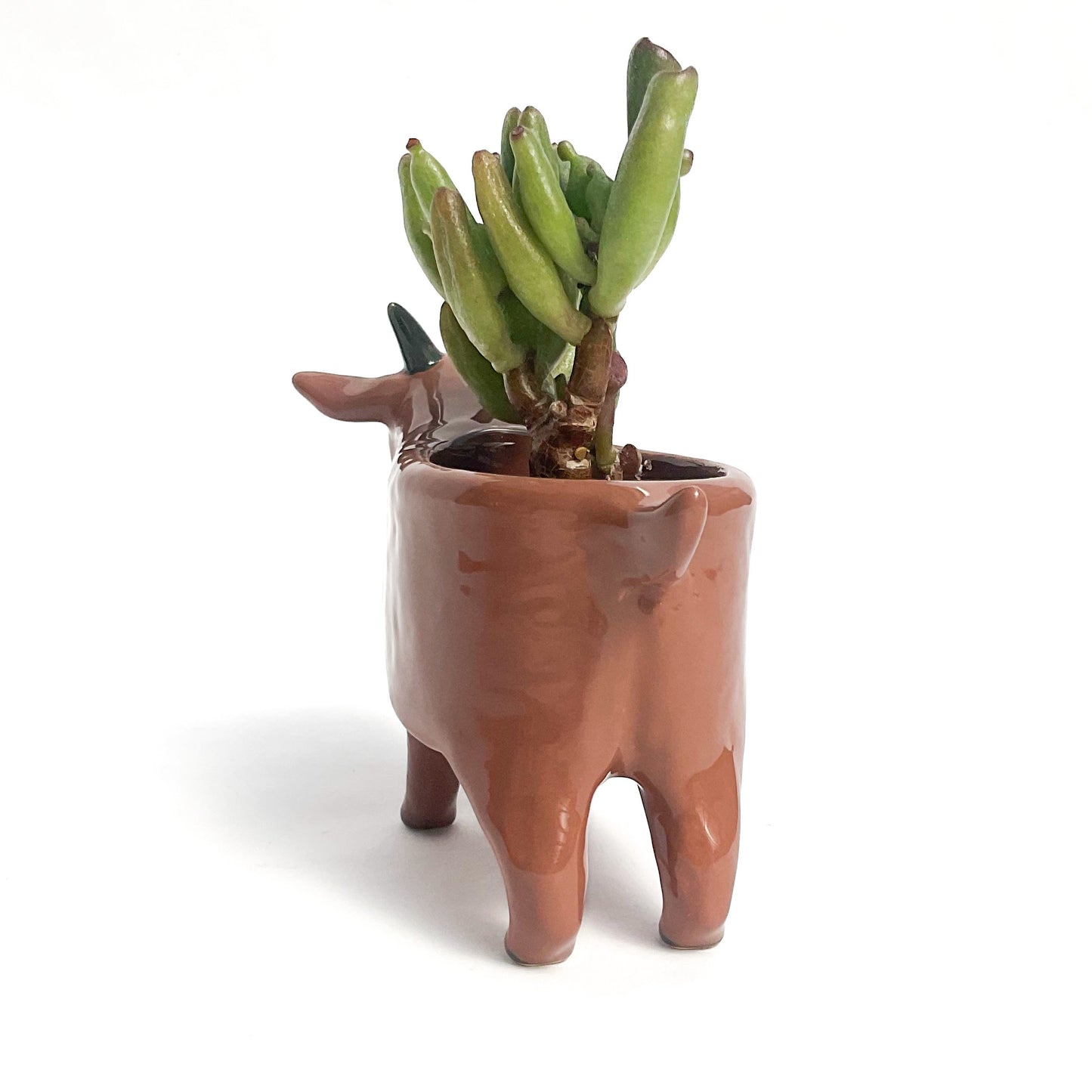 Brown Pygmy Goat Pot