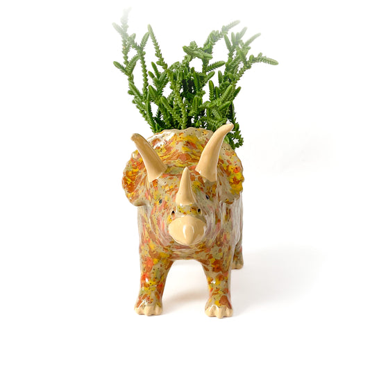 Triceratops Dinosaur Planter - Dinosaur Succulent Planter