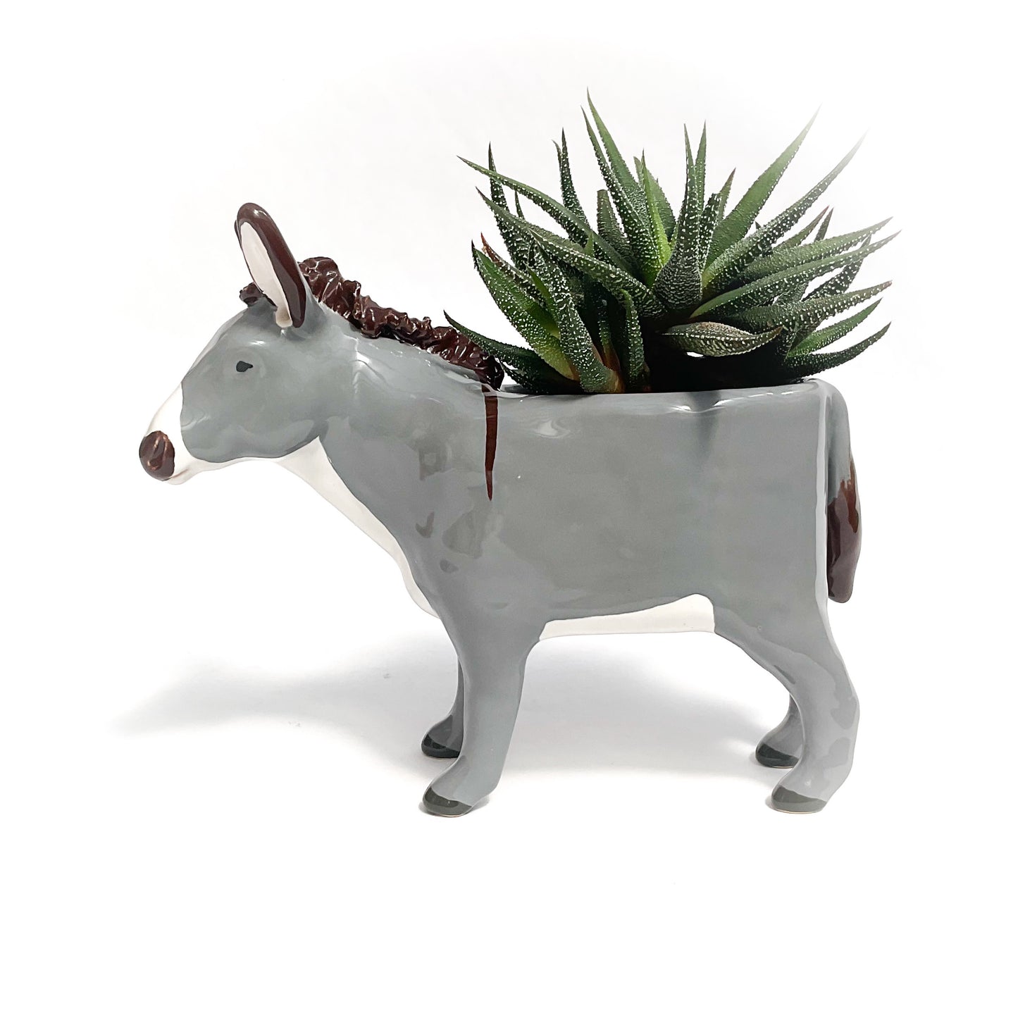 Miniature Mediterranean Donkey Pot