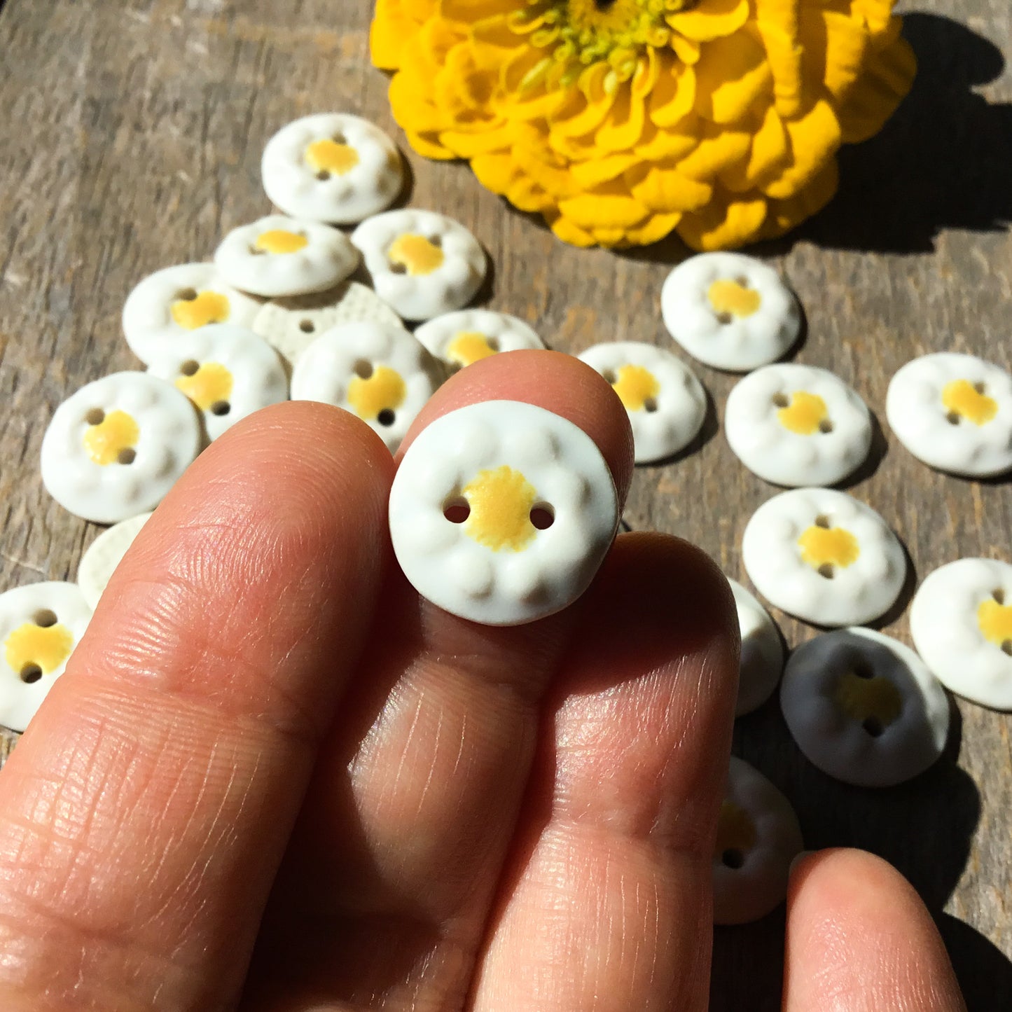 Chamomile Flower Porcelain Button  5/8"