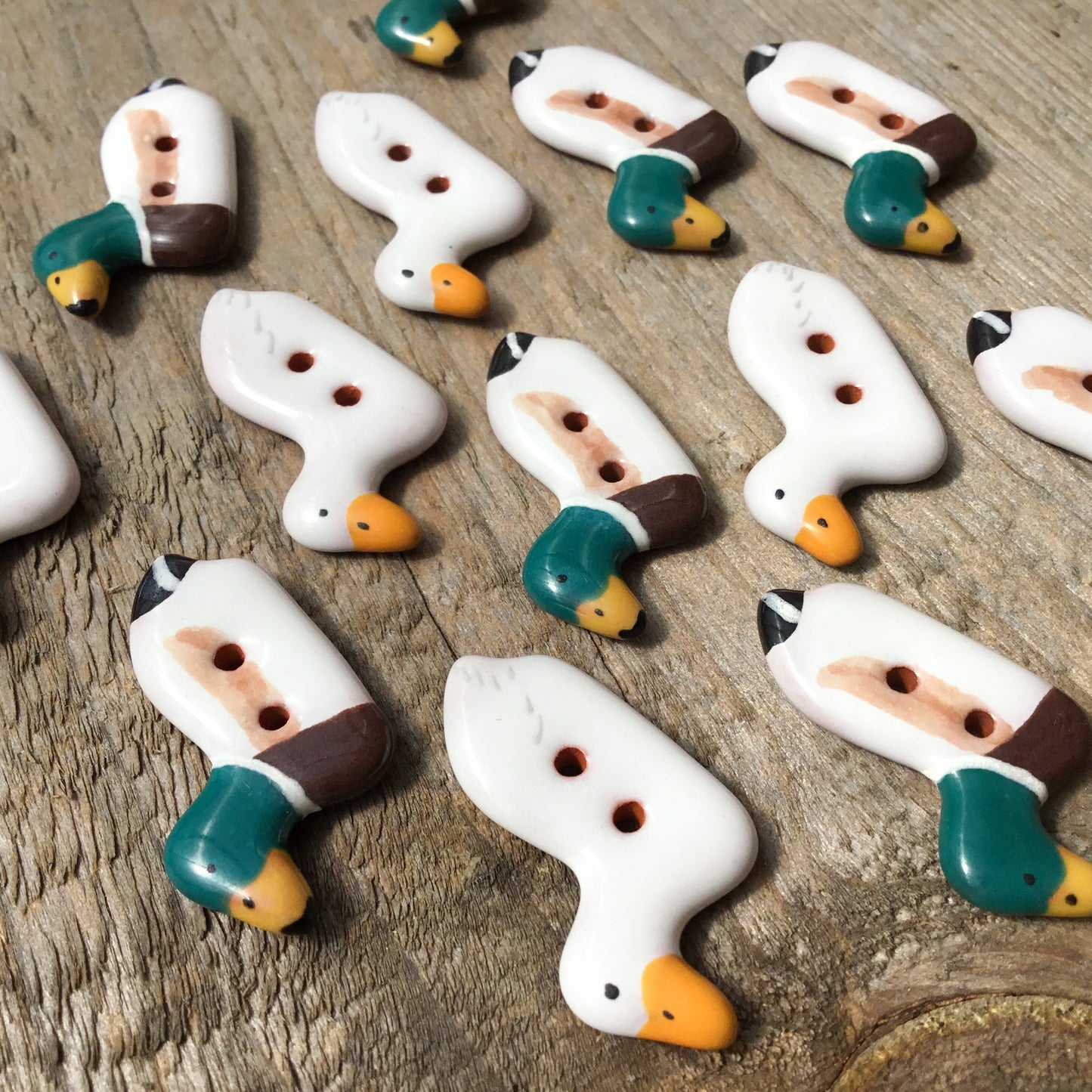Duck Buttons - Mallard & Pekin