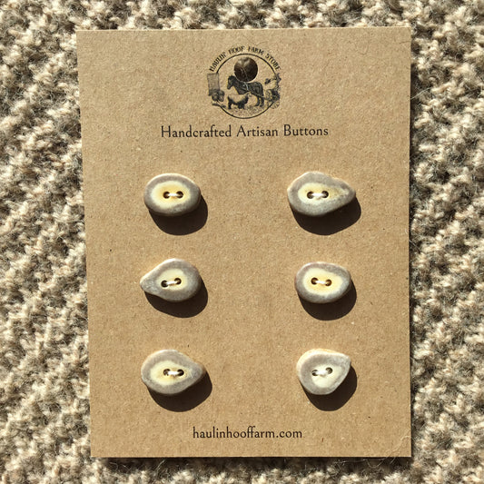 Polished Deer Antler Shed Buttons  3/4"  6-Pack