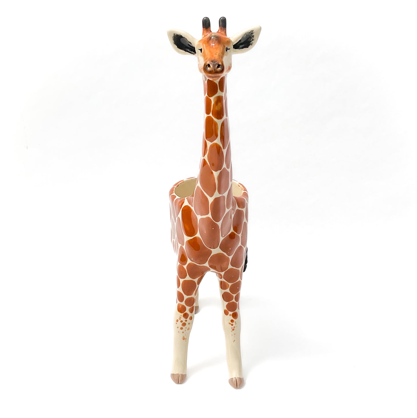 Giraffe Planter - Giraffe Succulent Pot