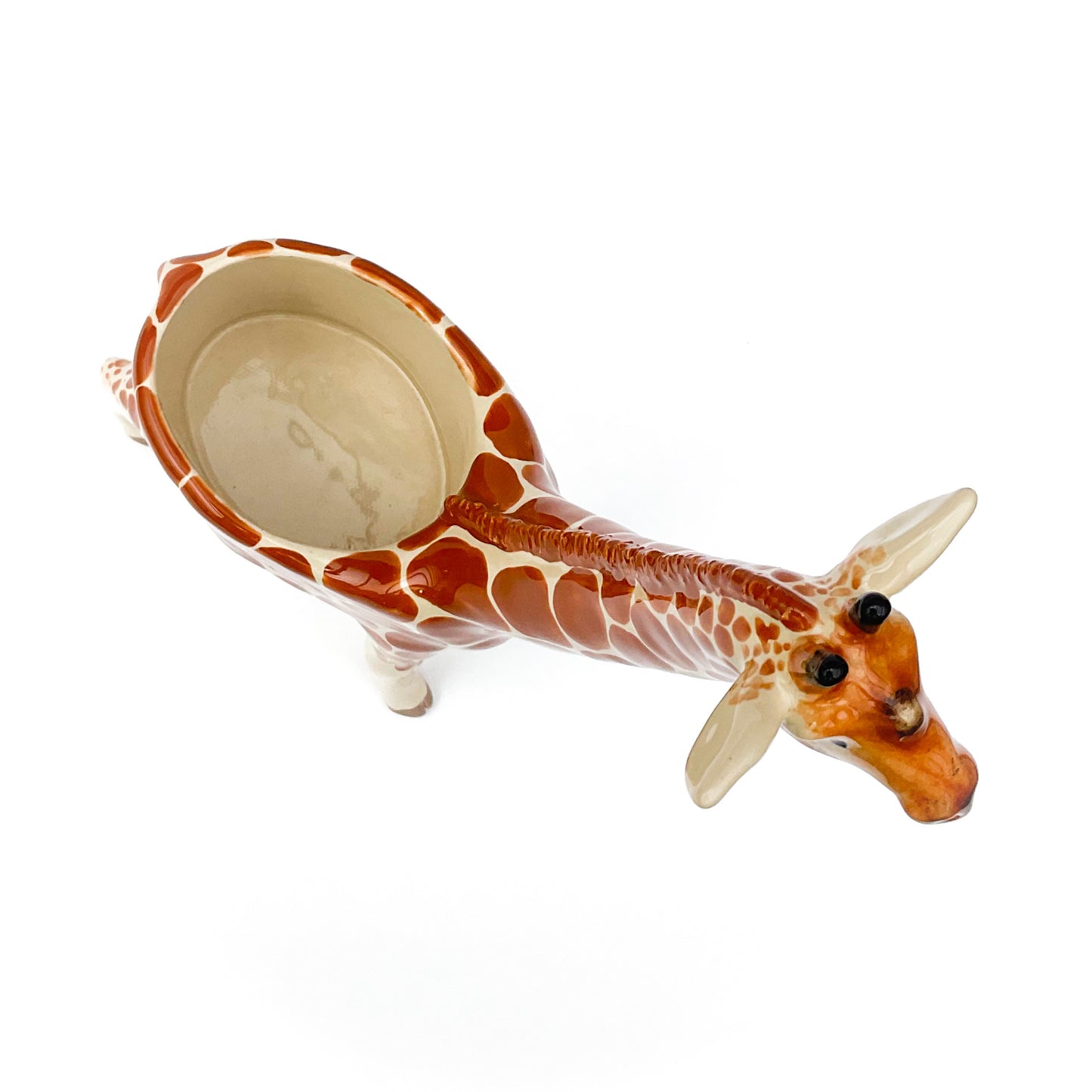 Giraffe Planter - Giraffe Succulent Pot