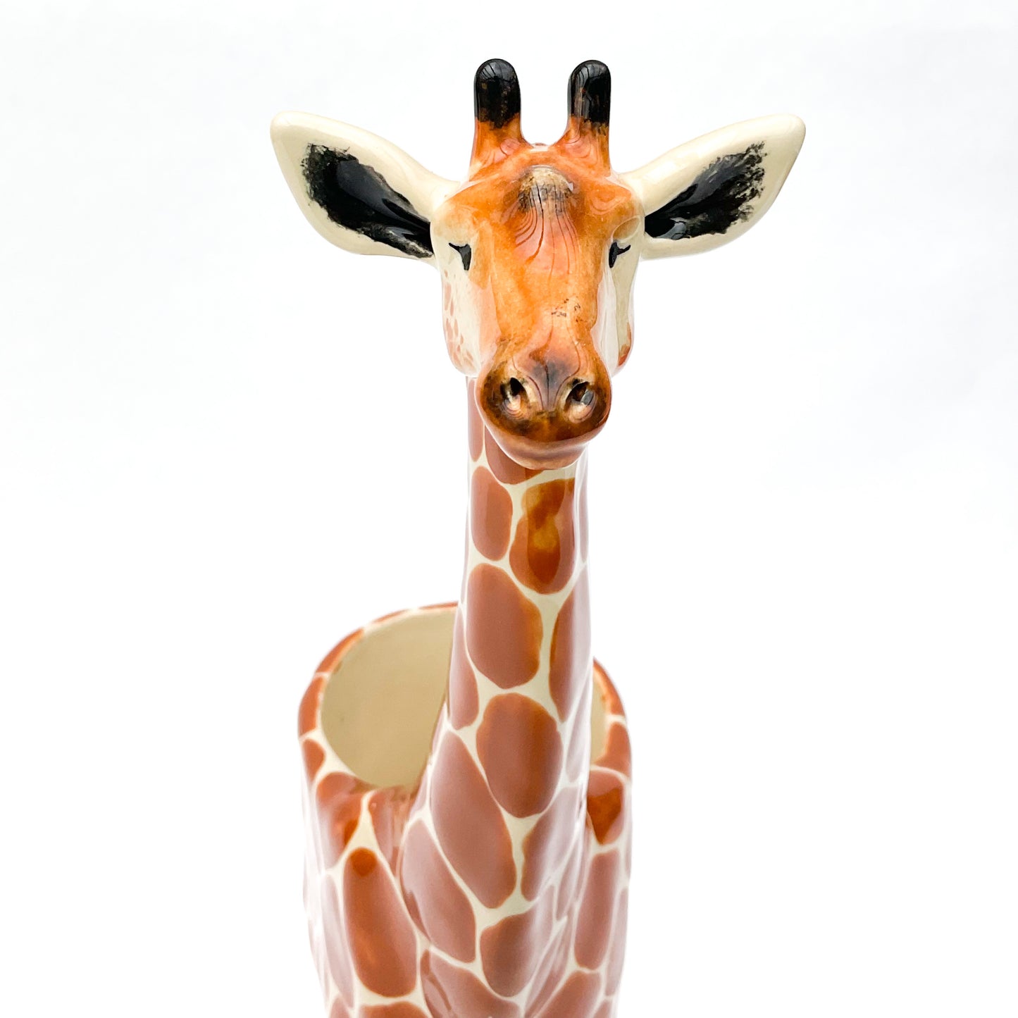 Giraffe Planter - Giraffe Succulent Pot