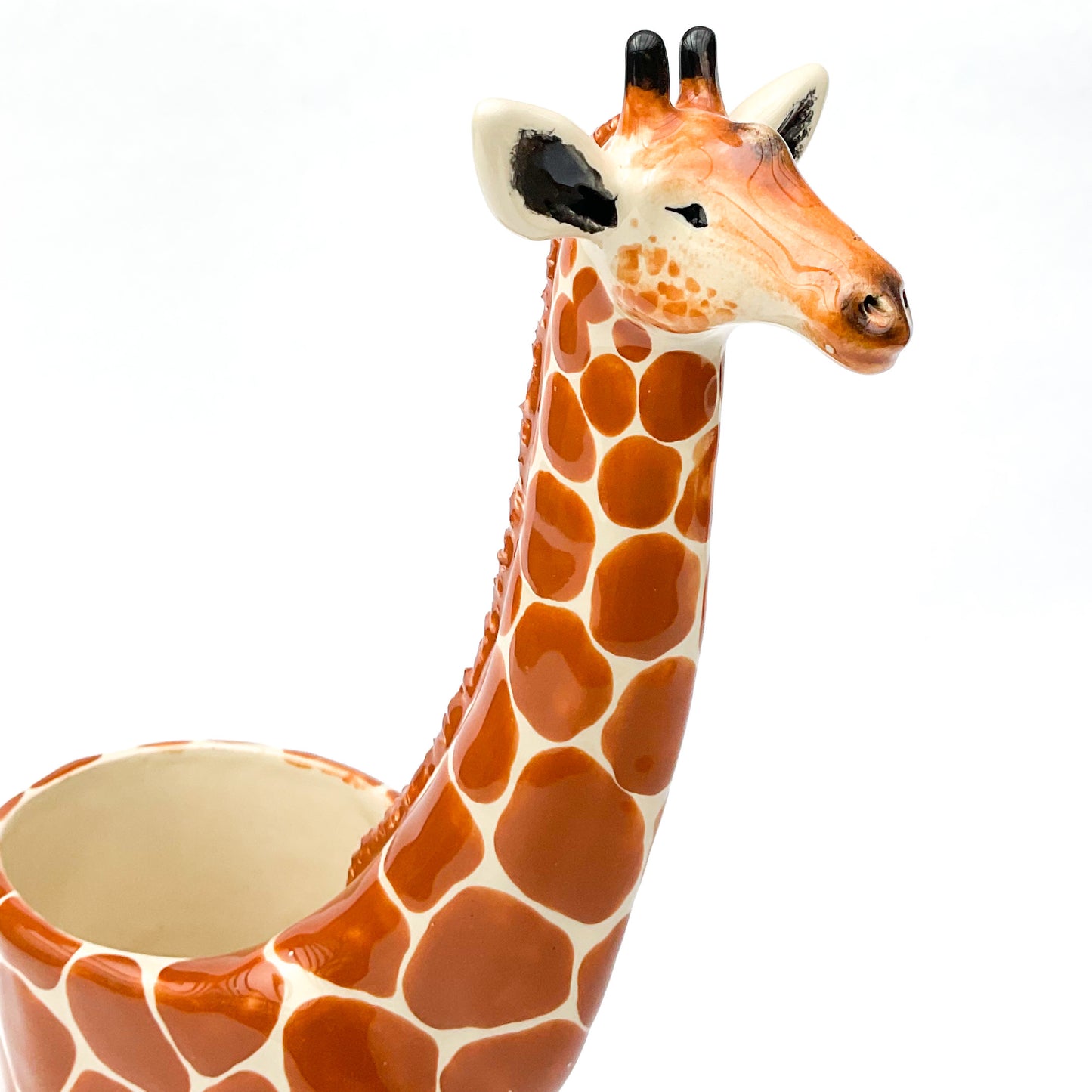 Giraffe Planter - Giraffe Succulent Pot