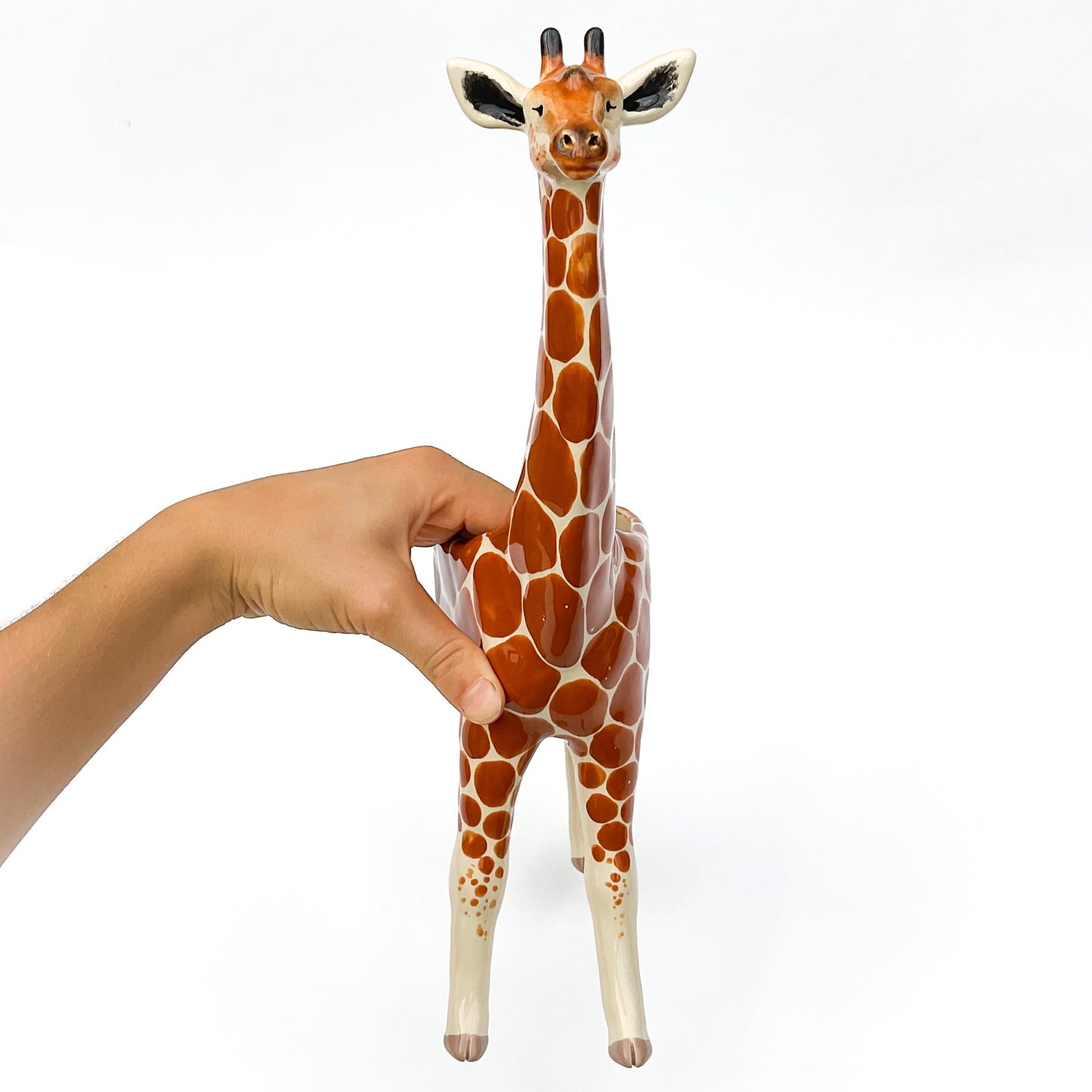 Giraffe Planter - Giraffe Succulent Pot