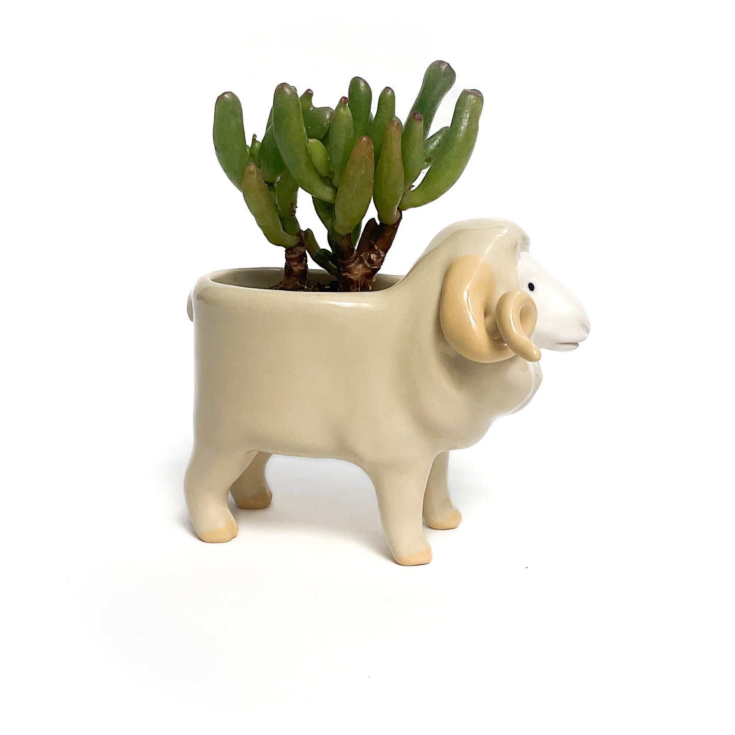 Merino Pot - Ceramic Sheep Planter