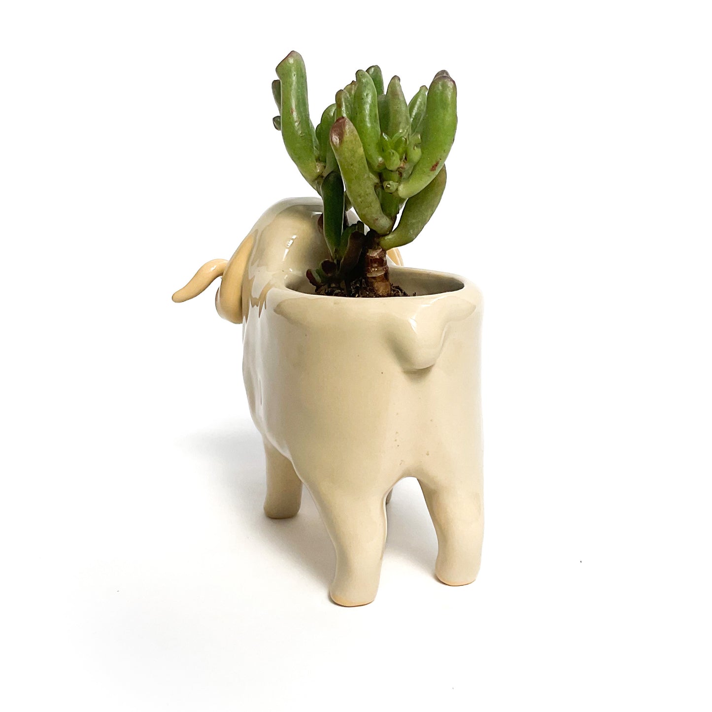 Merino Pot - Ceramic Sheep Planter